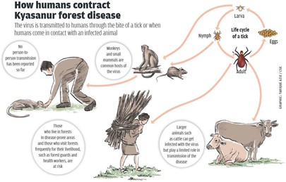 Kyasanur Forest Disease