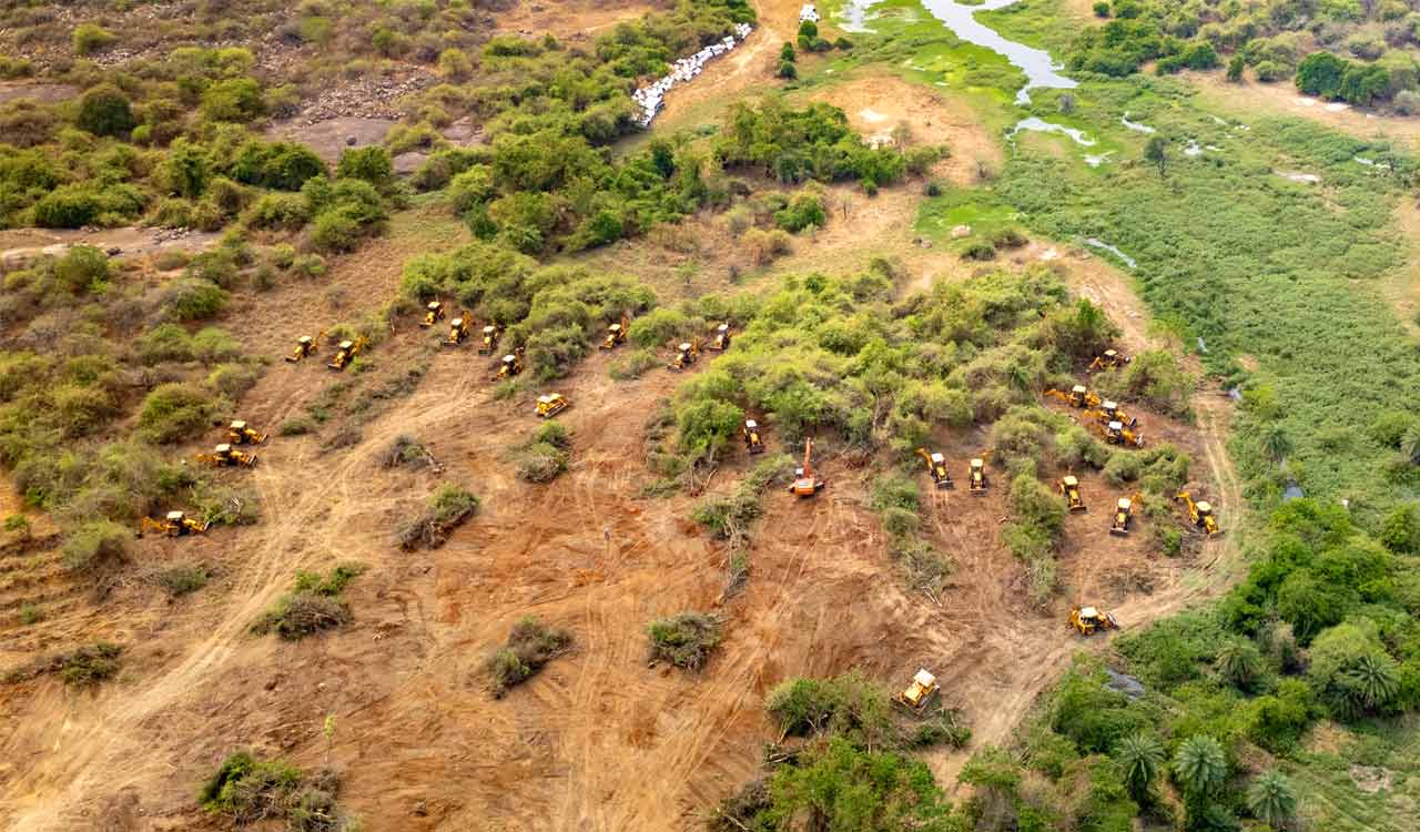Kancha Gachibowli Landscape